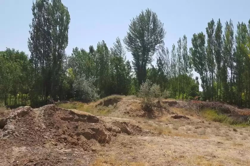 تپه باستانی خالصه زنجان