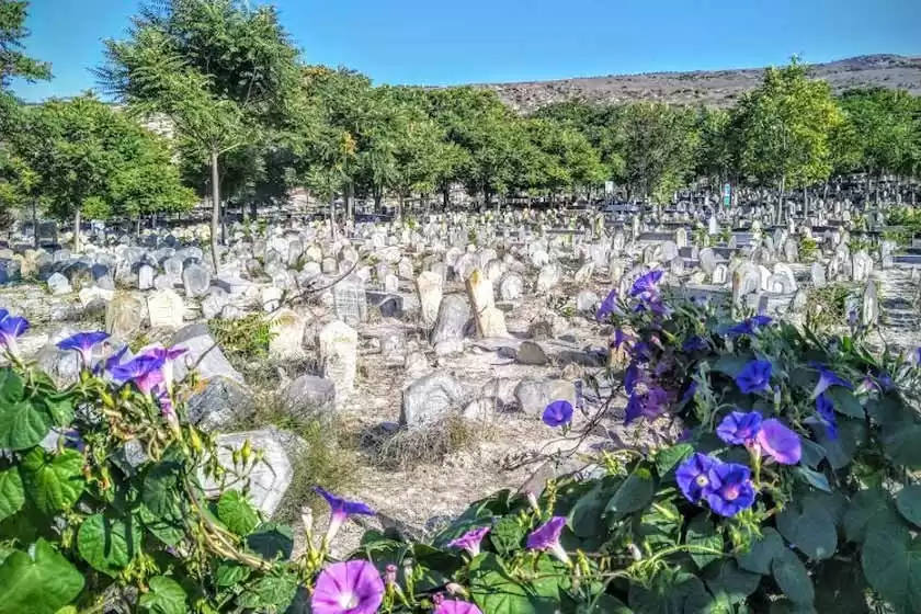 قبرستان سفید چاه بهشهر
