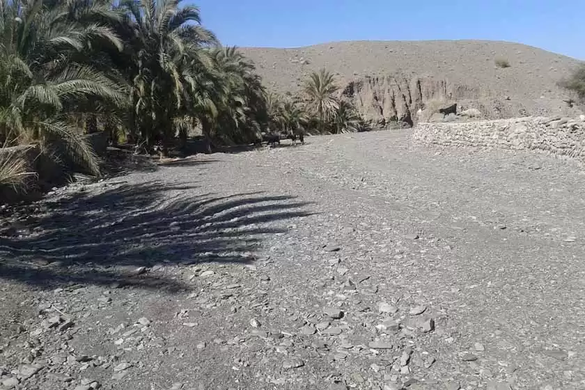 روستای کشیگان سیستان و بلوچستان