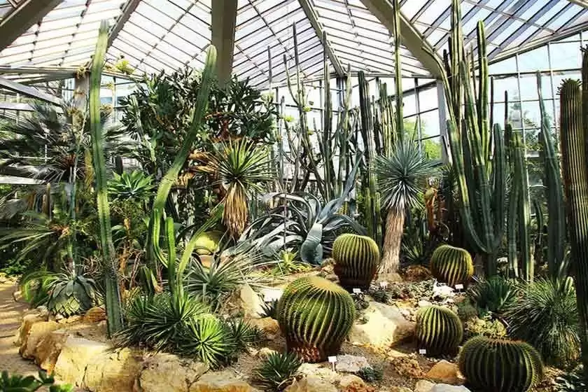 باغ گیاه شناسی فرانکفورت