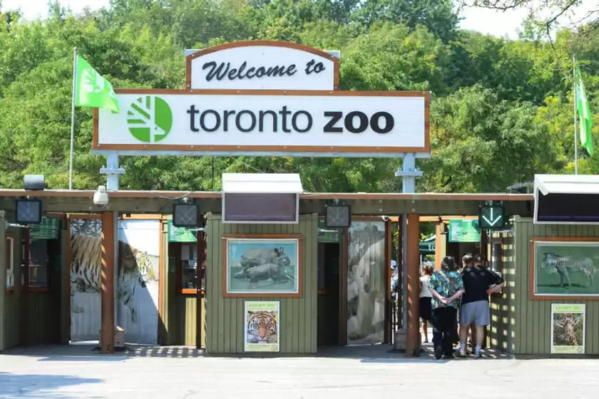 باغ وحش تورنتو