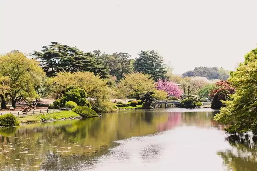 باغ ملی شینجوکو گیوئن