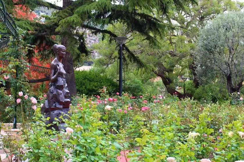 باغ رز شاهدخت موناکو، پرنسس گریس