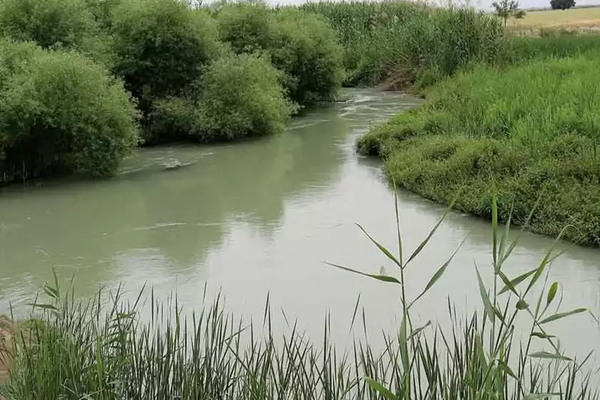 رودخانه شاوور