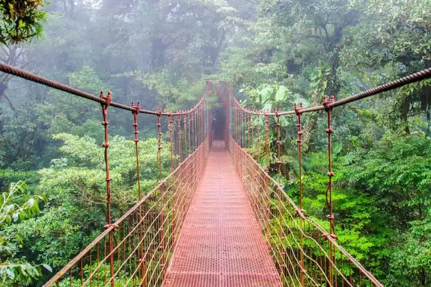 جنگل ابر مونته ورده کاستاریکا