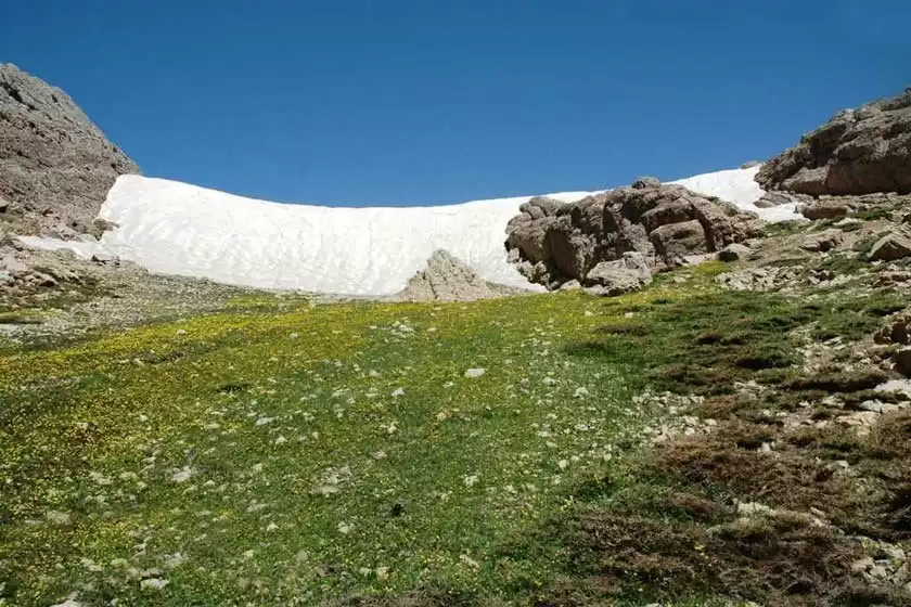 چشمه ریزک