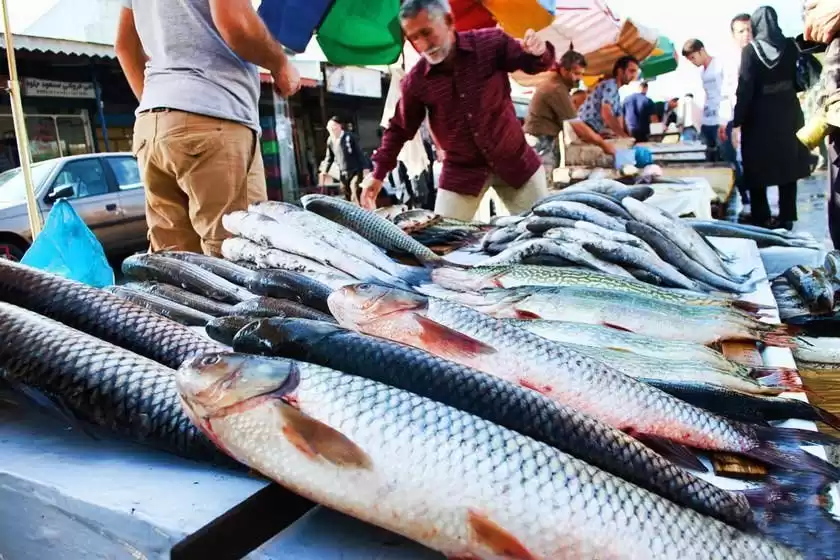 بازار ماهی فروشان بندر انزلی