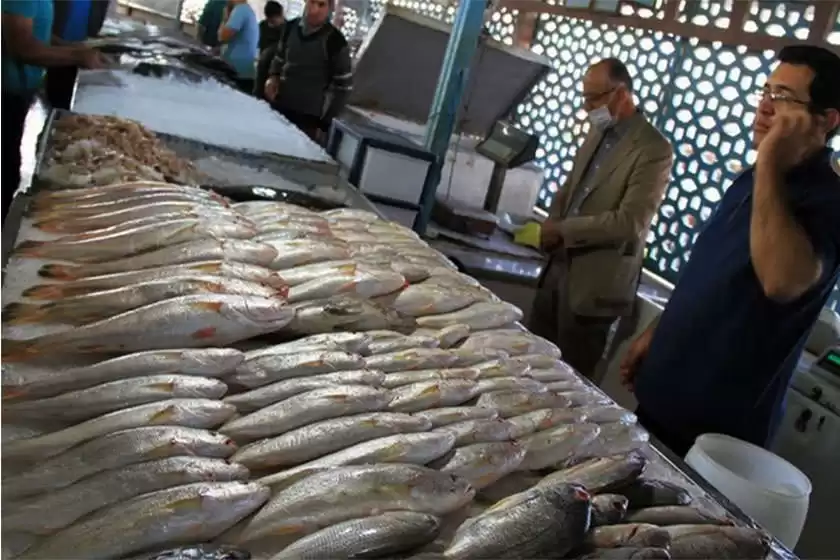 بازار جدید ماهی فروشان