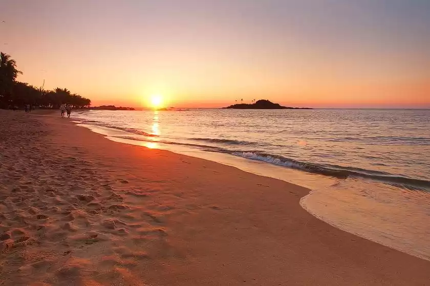ساحل برووالا