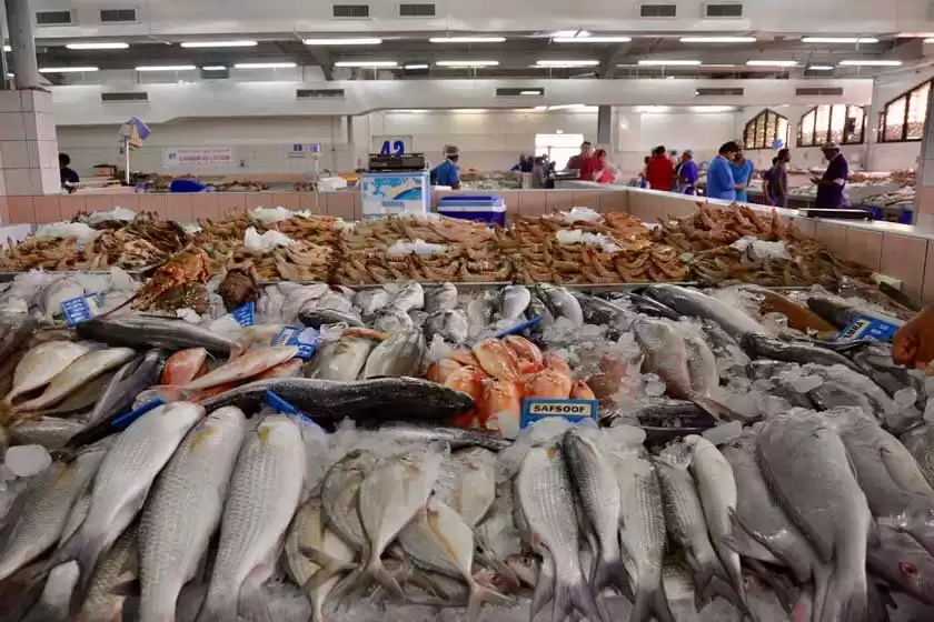 بازار ماهی مینا زاید