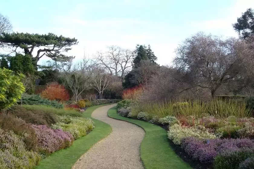 باغ گیاه شناسی دانشگاه کمبریج