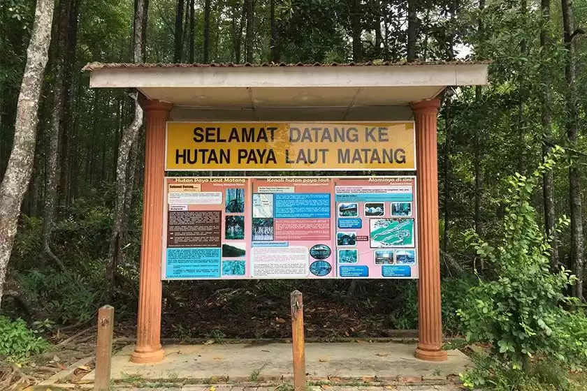 جنگل حفاظت شده مانگرو ماتانگ
