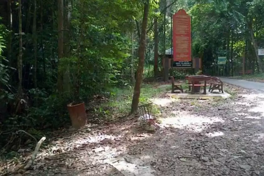 جنگل تفریحی بوکیت پلیندونگ