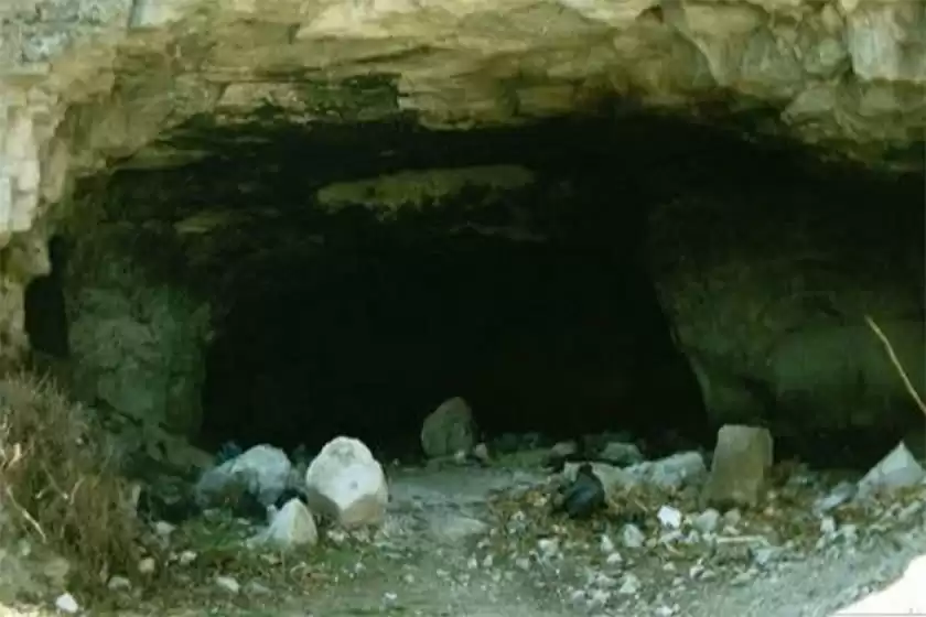 غارهای دودنسیک