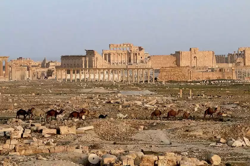 شهر باستانی پالمیرا