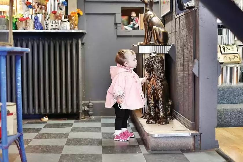 موزه سگ نورث آدامز
