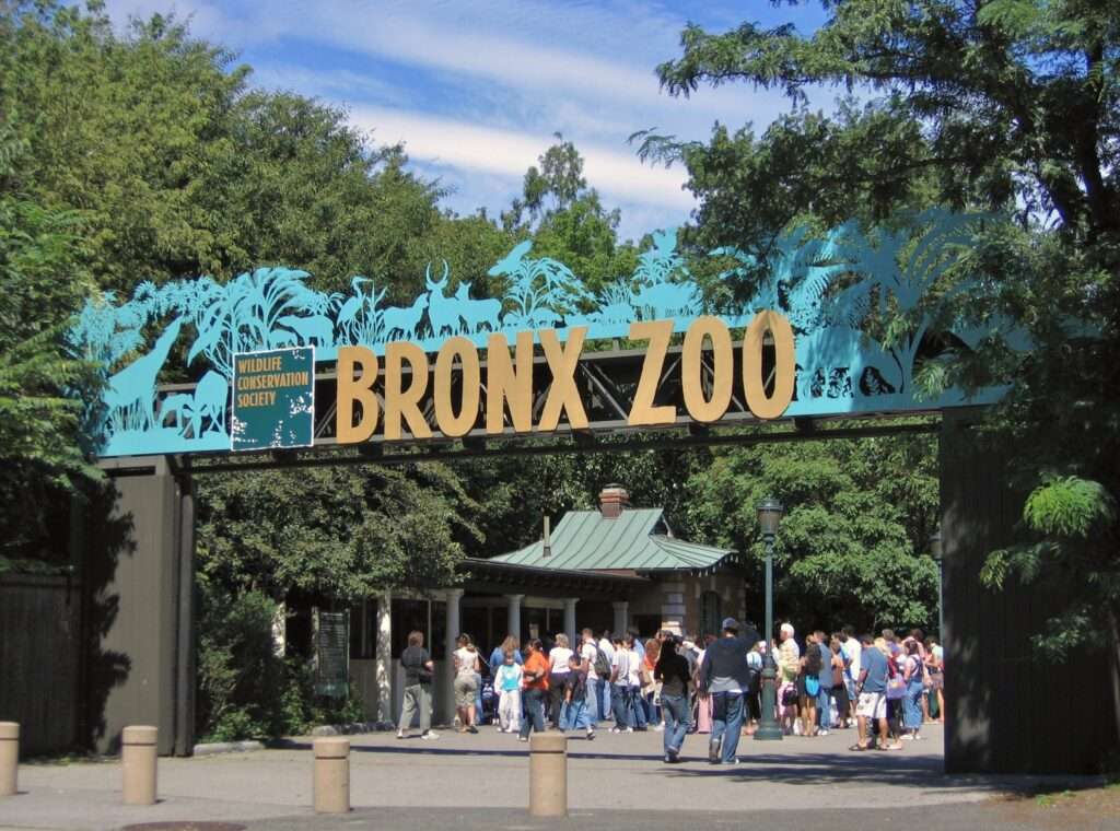 باغ وحش برانکس نیویورک