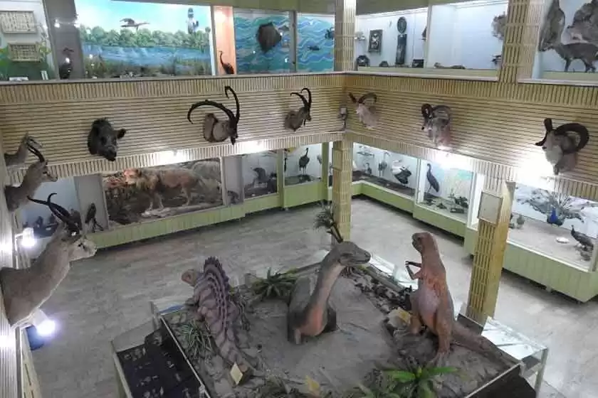 موزه تنوع زیستی اراک