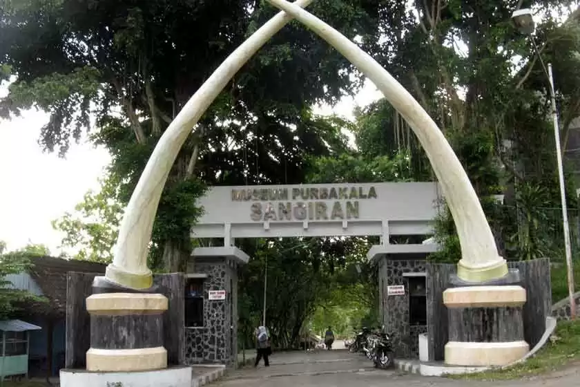 موزه انسان نخستین سانگیران اندونزی
