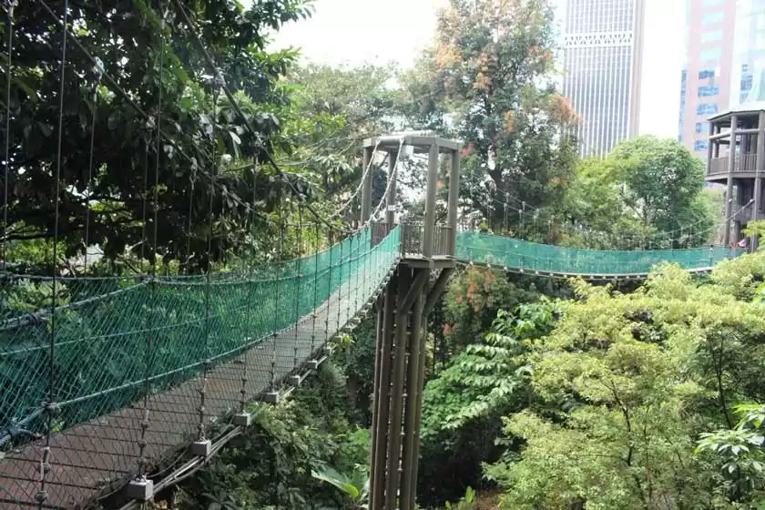 پارک جنگلی کوالالامپور