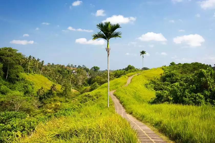 مسیر پیاده روی کامپوهان اندونزی
