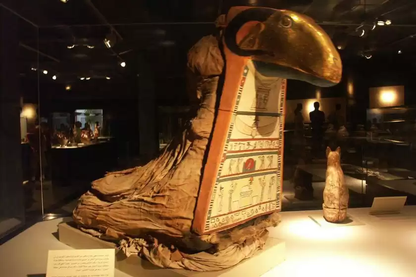 موزه مومیایی مصر