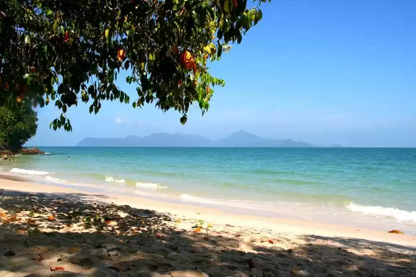 ساحل پاسیر تنگکوراک مالزی