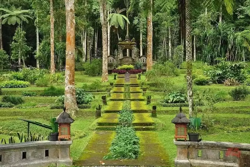 باغ گیاه شناسی بالی اندونزی
